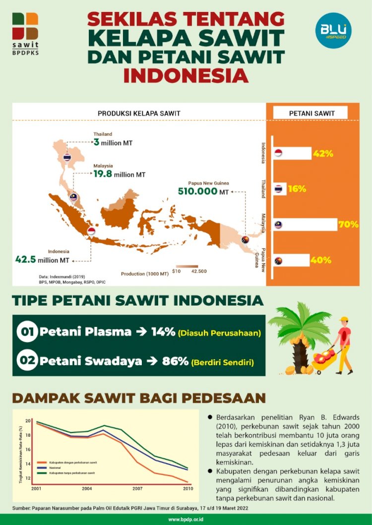 Infografis Amandasari Amandasari